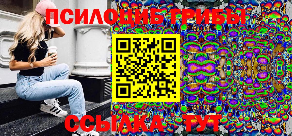 Псилоцибиновые грибы мицелий Бор